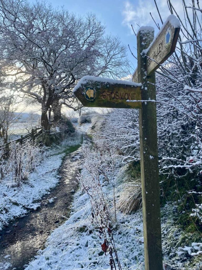 walking trail sign post and trees covered in snow